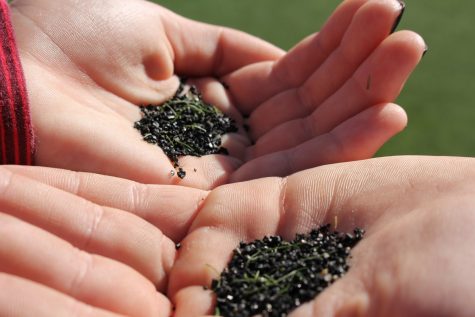 Opinion: FIFA is Sexist, Synthetic Turf for Women Only