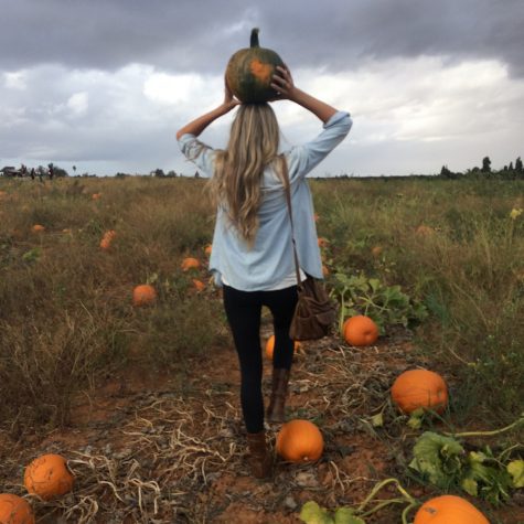 Fall Activities for Everyone