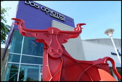 Food Review: Dos Coyotes