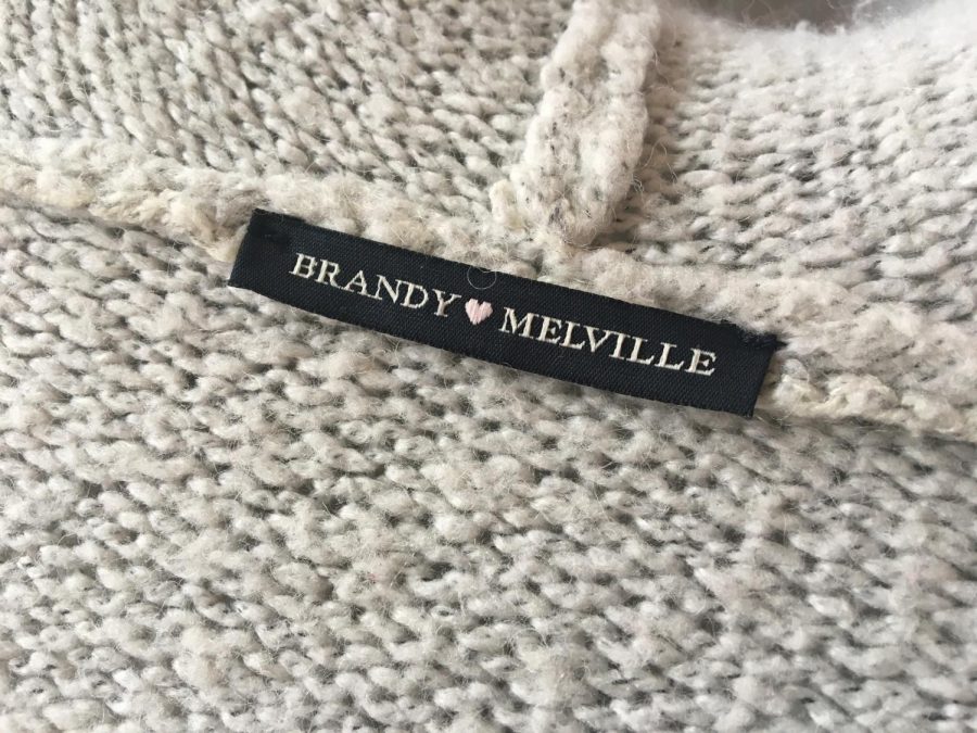 Brands such as Brandy Melville use a one-size-fits-all sizing system on many of their clothes, but this doesnt work for everyone.