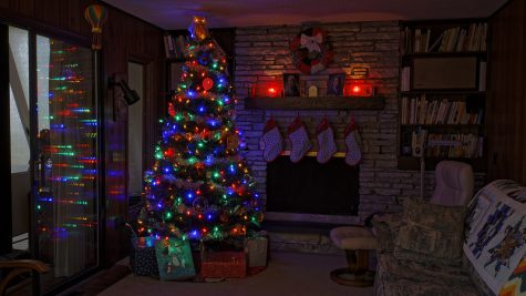 Real vs. fake trees