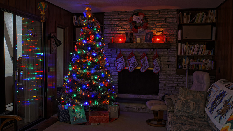 A+Christmas+tree+bringing+the+spirit+of+the+holidays+into+a+familys+home