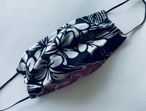 Masks have become a point of debate alongside beliefs that COVID-19 is a hoax, which has resulted in many families coping with the fear of sick family members.