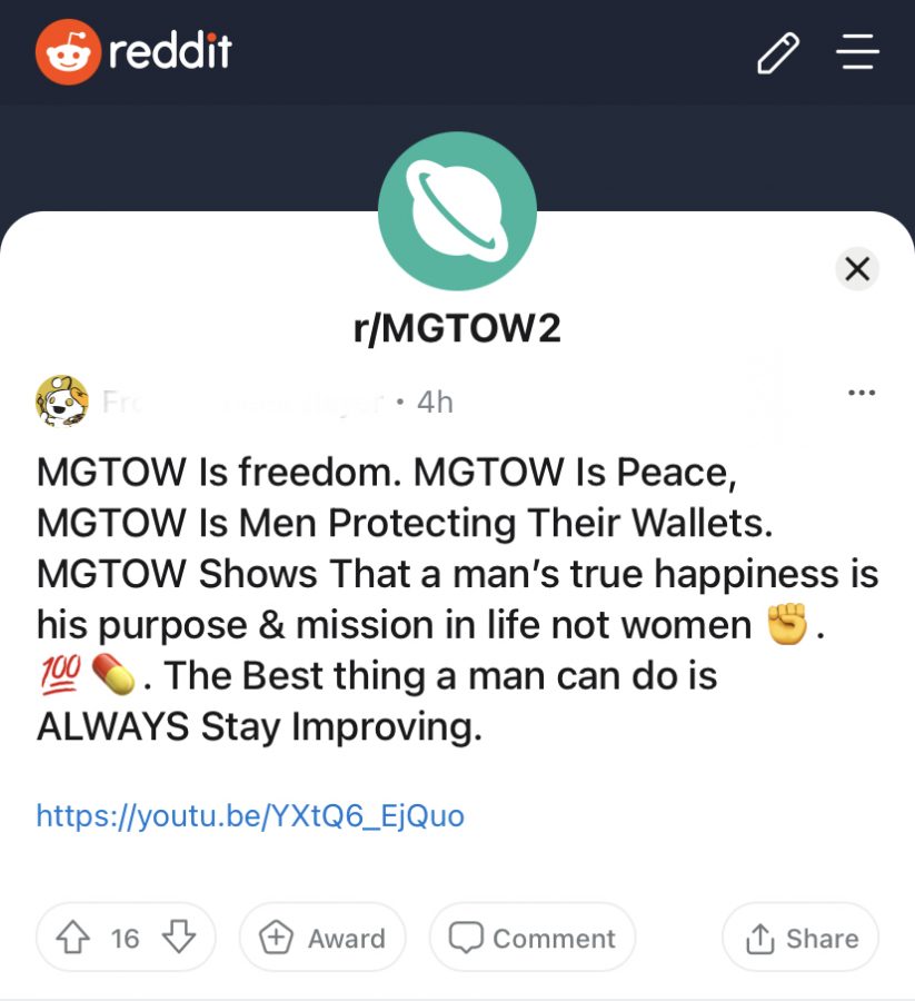 MGTOW is a group on Reddit that expresses anti-feminist views