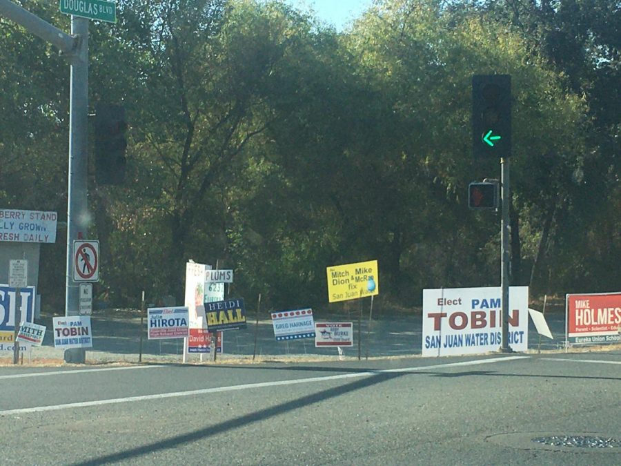 Throughout the election season, the presence of campaign signs became especially noticeable.