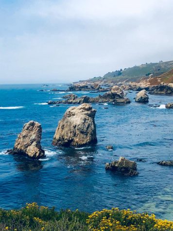 Monterey has much to offer to its visitors including numerous hikes, farms and restaurants that provide local seafood. To top it all off, the bay is also a great place to view the scenic Pacific Ocean and its marine life. 