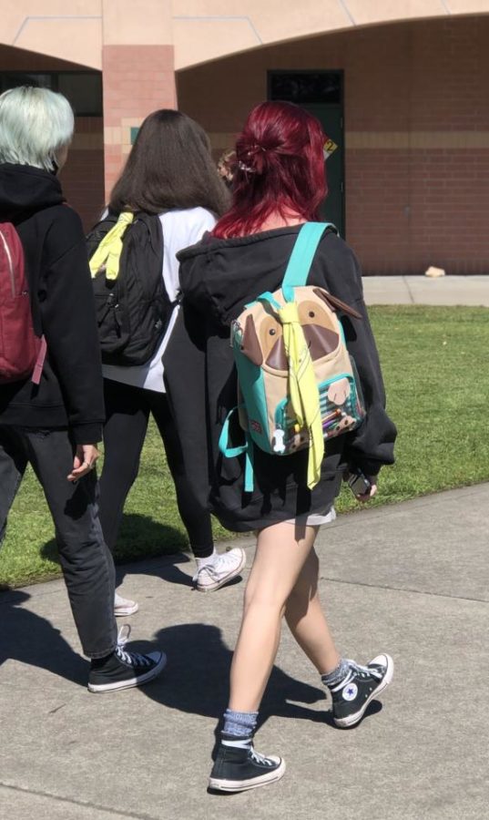 A senior with extraordinary style walks to class rocking a puppy dog backpack.
