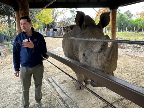 Jason Jacobs, former CEO of Sacramento Zoo, speaks on conservation policies alongside rhino.
