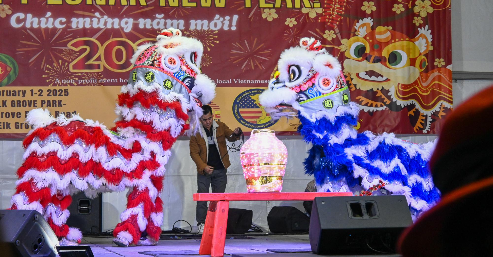 Elk Grove Celebrates Lunar New Year: a photo story