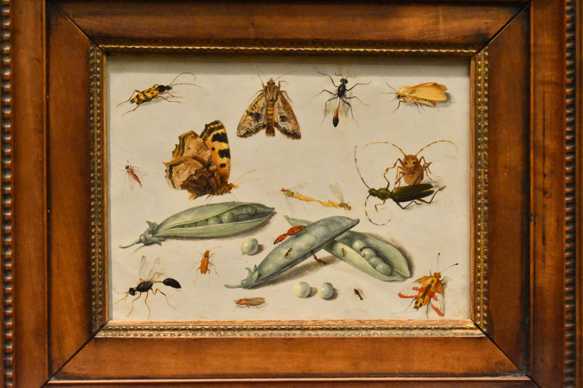 Palace Legion of Honor Art Fieldtrip