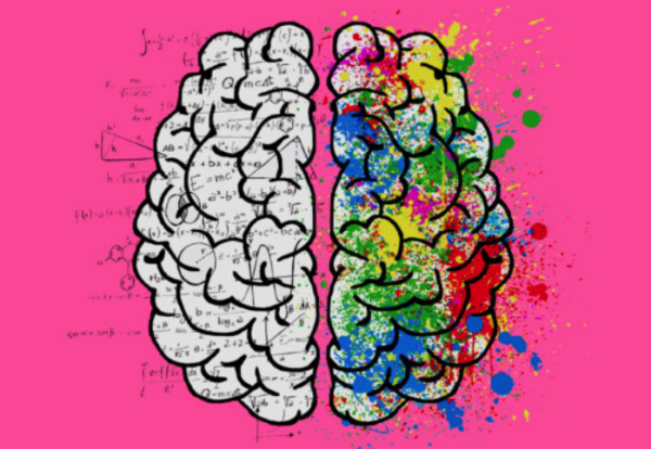 Opinion: The Humanities Are Just as Important as STEM