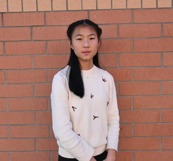 Wendy Wang