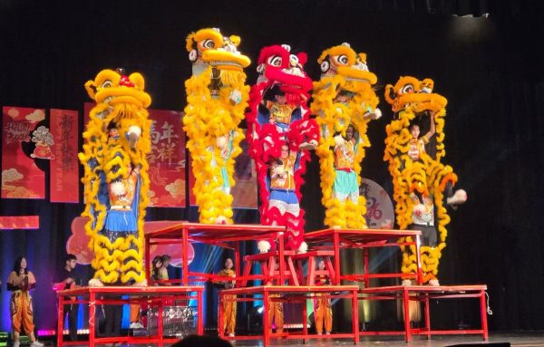 At the 29th annual Chinese New Year Culture Association (CNYCA) Lunar New Year celebration, vibrant yellow and red lions take part in a lion dance.  
